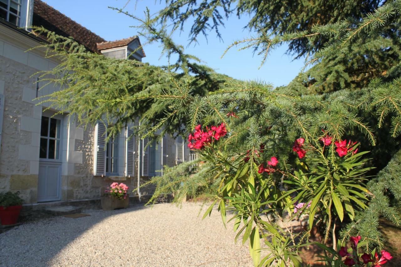 Bed and Breakfast Bella Simonetta Francueil Exteriér fotografie